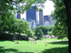 Manhattan (New York): Central Park - afternoon on the lawn (photo by Llonaid)