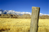 Death Valley (California): Fencepost and Mountains - landscape - Photo by G.Friedman