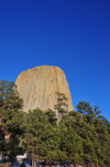Devils Tower National Monument, Wyoming: surrounded by a Ponderosa Pine forest - photo by M.Torres