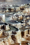 Yellowstone NP, Wyoming, USA: Mammoth Hot Springs - Minerva Terrace - travertine terraces - Terrace Mountain - the largest carbonate-depositing spring in the world - Pamukkale like landscape - Unesco world heritage site - photo by J.Fekete