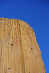 Devils Tower National Monument, Wyoming: flat-top stump of stone - cylindrical and fluted - photo by M.Torres