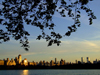 Manhattan (New York City): sunset- Jacqueline Kennedy Onassis Reservoir at Central Park - photo by M.Bergsma