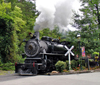 Pigeon Forge (Tennessee): steam train - Dollywood - photo by G.Frysinger