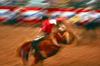 USA - Phoenix (Arizona): rodeo - saddle bronc riding - bronco - west - cowboy - blur - horse in motion - photo by J.Fekete