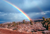 Nevada, USA: rainbow in the desert - photo by J.Fekete