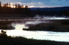 Yellowstone NP, Wyoming, USA: Madison River - sunrise with deer grazing - Unesco world heritage site - photo by J.Fekete
