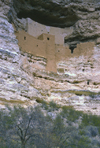 USA - Montezuma Castle National Monument - Camp Verde (Arizona): cliff dwelling nestled into a limestone recess high above Beaver Creek - built by Sinagua Indians - photo by A.Bartel