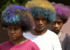 Vanuatu - Three Girls with wild colored hair, Loh Island - photo by B.Cain