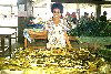 Vanuatu - Efat island - Port Vila: lady selling lap-lap wrapped in banana leaves