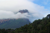 165 Venezuela - Bolivar - Canaima National Park - one the edge of the Auyan tepuy, in the clouds - photo by A. Ferrari
