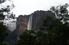 173 Venezuela - Bolivar - Canaima National Park - Salto Angel seen from the Ratoncito campsite - Angel Falls - photo by A. Ferrari