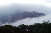 182 Venezuela - Bolivar - Canaima National Park - the Auyan tepuy between clouds - photo by A. Ferrari