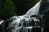 203 Venezuela - Bolvar - Canaima - Gran Sabana - Quebrada de Jaspe - waterfall - photo by A. Ferrari