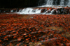 205 Venezuela - Bolvar - Canaima - Gran Sabana - Quebrada de Jaspe- small waterfall and Jaspe rocks - photo by A. Ferrari