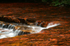 206 Venezuela - Bolvar - Canaima - Gran Sabana - Quebrada de Jaspe- water falling over Jaspe rocks II - photo by A. Ferrari