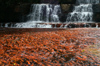 208 Venezuela - Bolvar - Canaima - Gran Sabana - Quebrada de Jaspe- waterfalls and Jaspe rocks - macizo de las Guayanas - photo by A. Ferrari