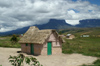 15 Venezuela - Bolivar - Canaima NP - A hut in the village of Paraitepui - photo by A. Ferrari