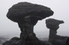 52 Venezuela - Bolivar - Canaima NP - Mushroom-like rock formation at the top of Roraima - photo by A. Ferrari