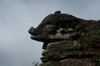 66 Venezuela - Bolivar - Canaima NP - Rock formation with a big nose at the top of Roraima - photo by A. Ferrari