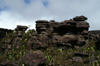67 Venezuela - Bolivar - Canaima NP - Rock formations of Roraima - photo by A. Ferrari