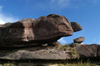 86 Venezuela - Bolivar - Canaima NP - Turtle-like rock formation at the top of Roraima - photo by A. Ferrari