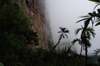 91 Venezuela - Bolivar - Canaima NP - vegetation at the foot of Roraima, in the fog - photo by A. Ferrari