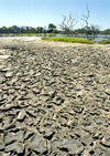 Venezuela - Isla de Margarita - Nueva Esparta: cracked dry mud - photo by A.Walkinshaw