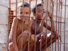 Venezuela - Choroni (Aragua): caged children (photo by A.Caudron)
