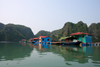 Halong Bay - vietnam: floating village - fishing boat - photo by Tran Thai