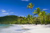 US Virgin Islands - St. Thomas - Magens Bay: perfect Caribbean beach (photo by David Smith)