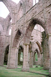 Wales - Monmouthshire, Gwent region: ruins of Tintern Abbey - founded by Walter de Clare, Lord of Chepstow - Cistercian order (photographer: R.Eime)