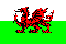 Wales / Cymru - flag