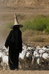 Wadi Hadhramaut, Hadhramaut Governorate, Yemen: local woman leading a trip of goats - abaya and madhalla conical hat - niqab dress - photo by J.Pemberton