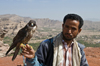 Wadi Dhahr, Al-Mahwit Governorate, Yemen: man with falcon, valley in the background - falconry - falconer - huntsman - photo by J.Pemberton
