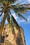 Stone Town, Zanzibar, Tanzania: Old fort - cylindrical tower and coconut tree - Arab fort - Ngome Kongwe - photo by M.Torres