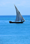 Stone Town, Zanzibar, Tanzania: dhow sailing - photo by M.Torres