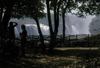 Victoria Falls - Mosi-oa-tunya, Matabeleland North province, Zimbabwe: locals call the falls Mosi-oa-Tunya,  the 'smoke that thunders' - one of the most spectacular natural wonders of the world - viewing terrace - photo by C.Lovell