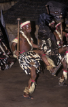 Matabeleland North province, Zimbabwe: Zulu war dance - a Northern Ndebele tribal dancer displays his fierceness and wears animal skins - Matabele - photo by C.Lovell